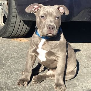 Meet your Posher, Damian